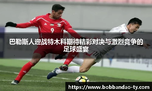 BOB半岛